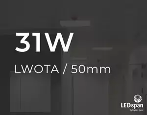 Vega LWOTA 50mm 31W